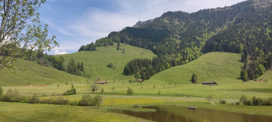 Seebodenalp
