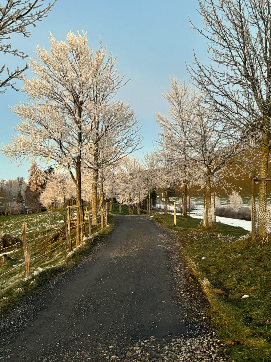 Weg