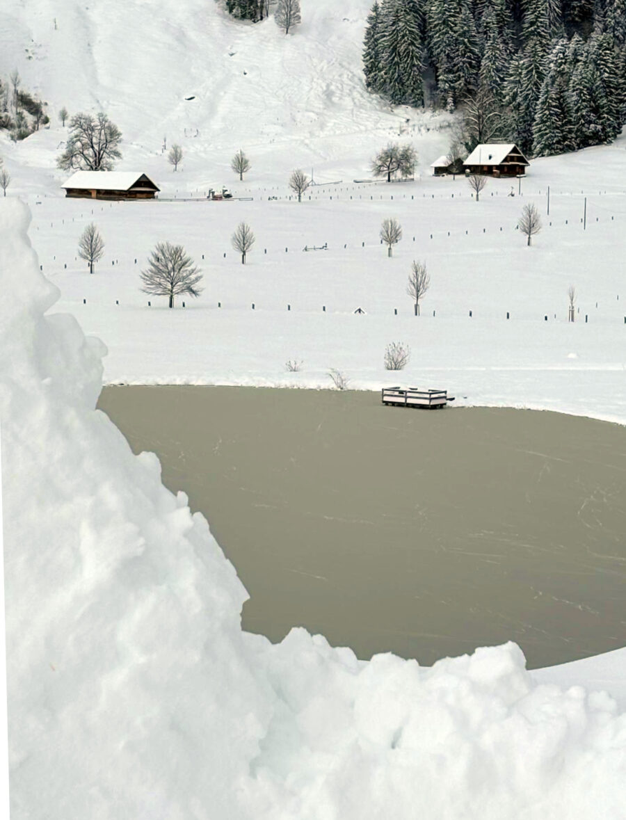 See im Winter